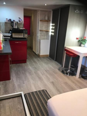 Studio Moovy Proche Stade Groupama, LCLD ARENA , Eurexpo Lyon